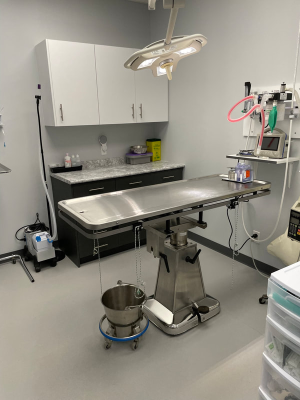 East Plains Animal Hospital
Surgery Room