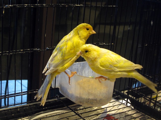 https://0901.nccdn.net/4_2/000/000/085/7e6/display_Oct_2014_6802-640x480.jpg