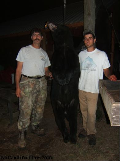 https://0901.nccdn.net/4_2/000/000/085/92b/trophy-black-bear-ontario-canada-dave.jpg