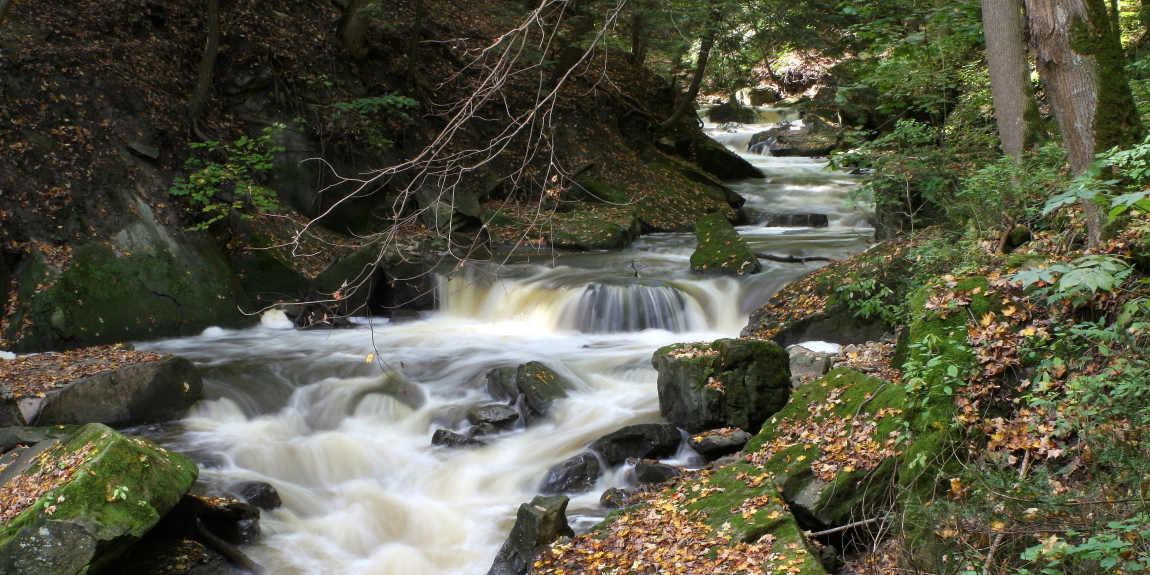 "Serenity"
Limited Addition Print