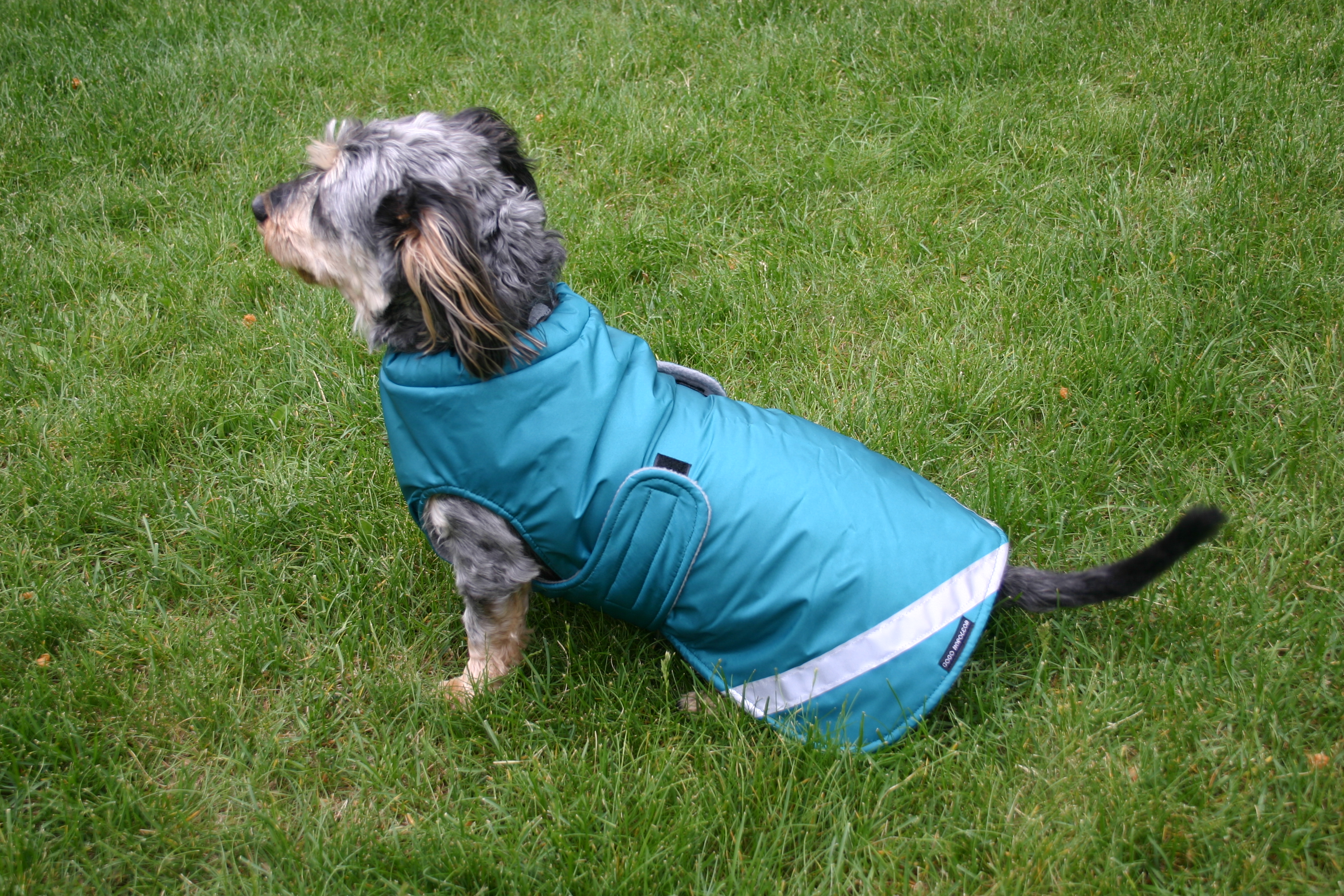 Kodiak Winter Jacket