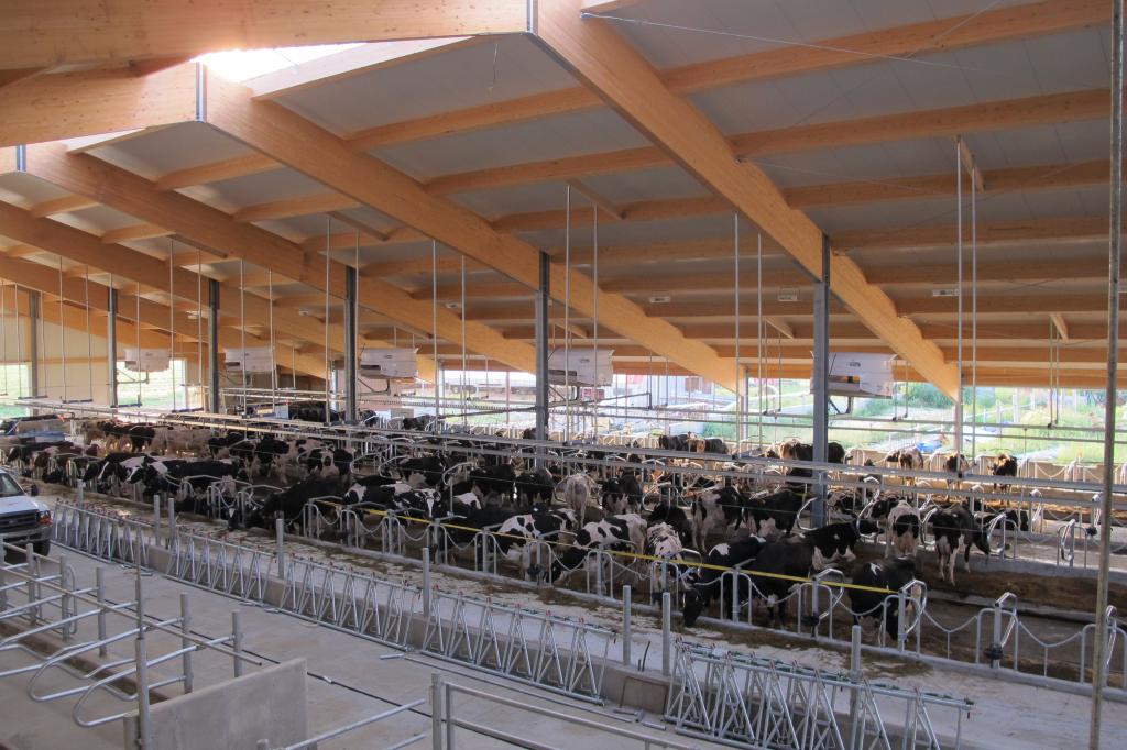 2014 Casselman - Robot dairy barn