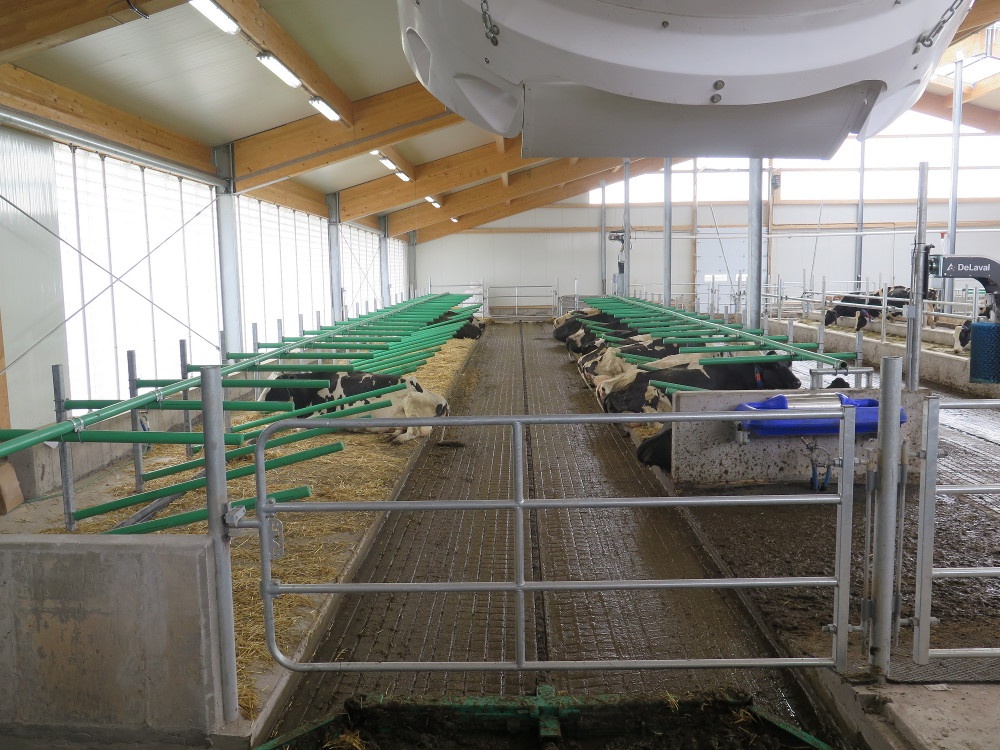 2017 Quebec - Dairy barn