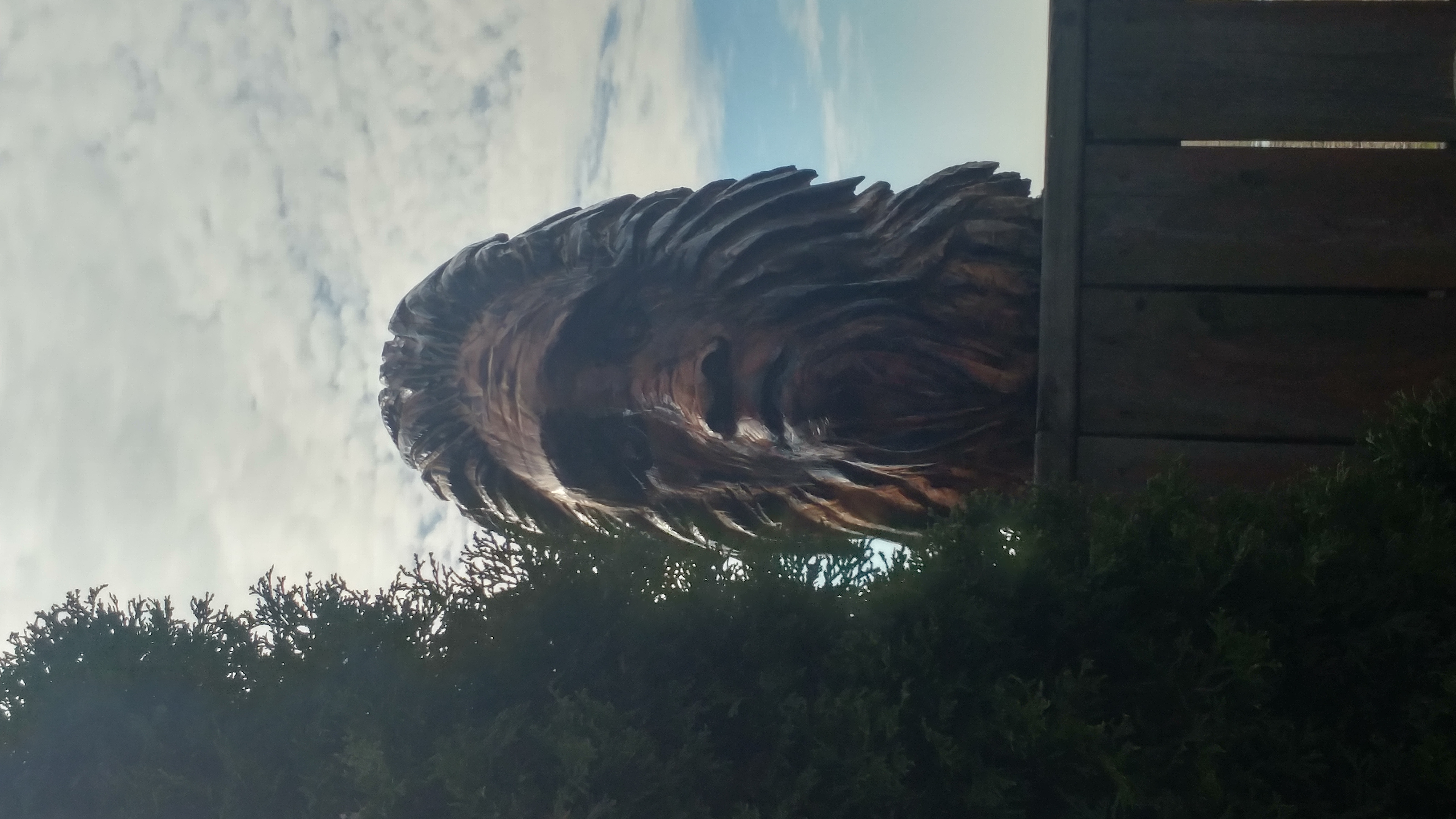 https://0901.nccdn.net/4_2/000/000/086/d2c/20171124_104336_hdr.jpg