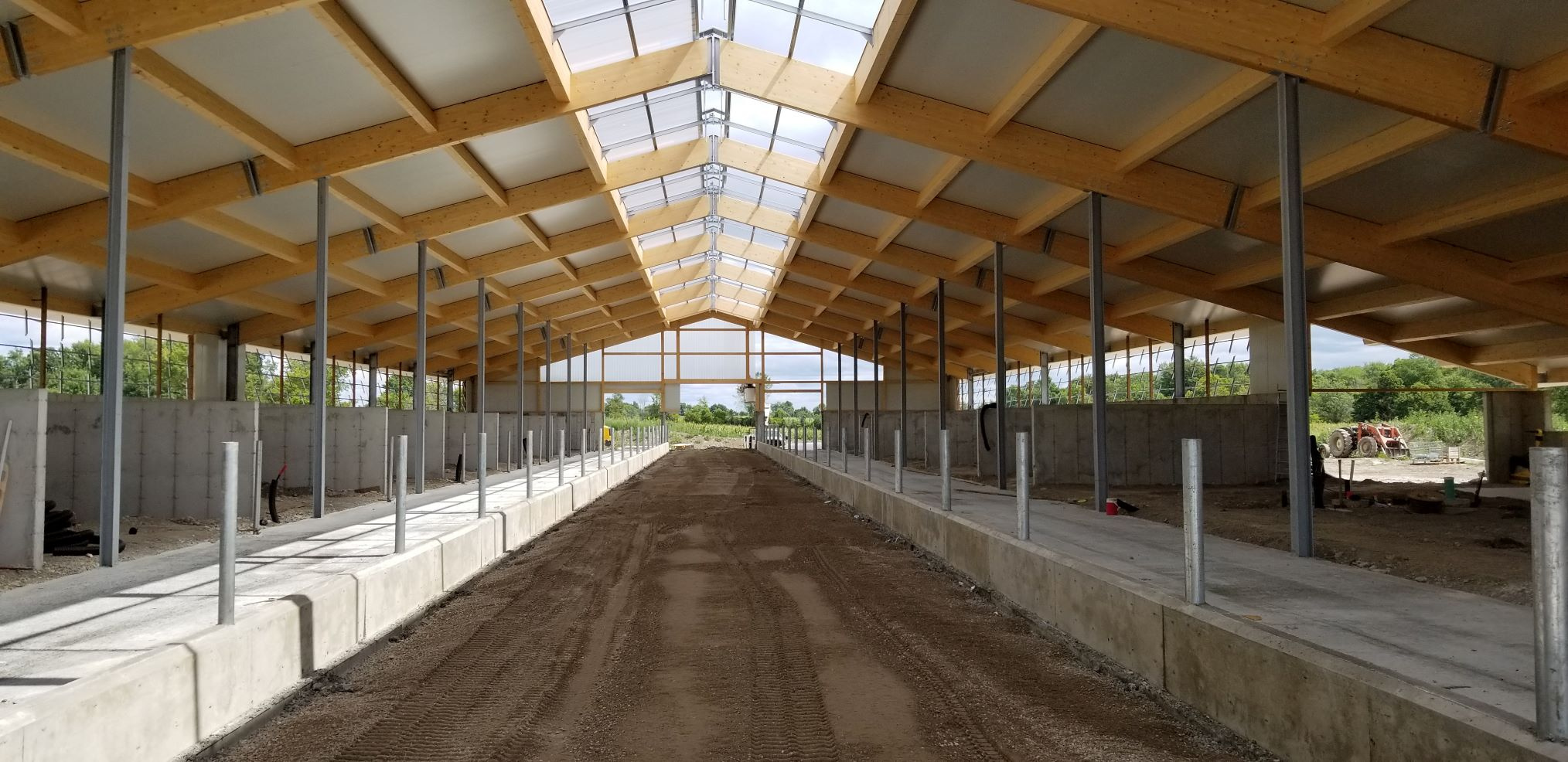 2019 Sterling, Ontario - Heifer barn