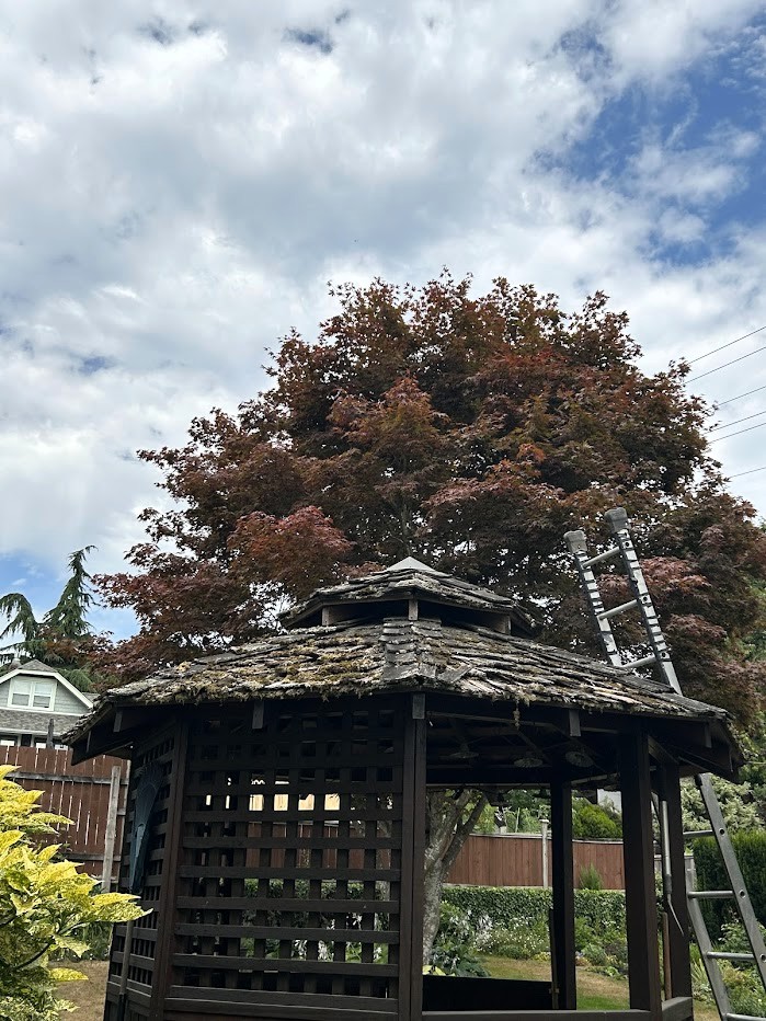 Cedar Roof showing signs of damage