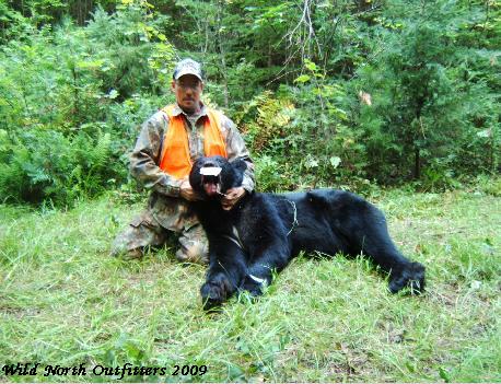 https://0901.nccdn.net/4_2/000/000/087/e72/trophy-black-bear-ontario-canada-herb.jpg