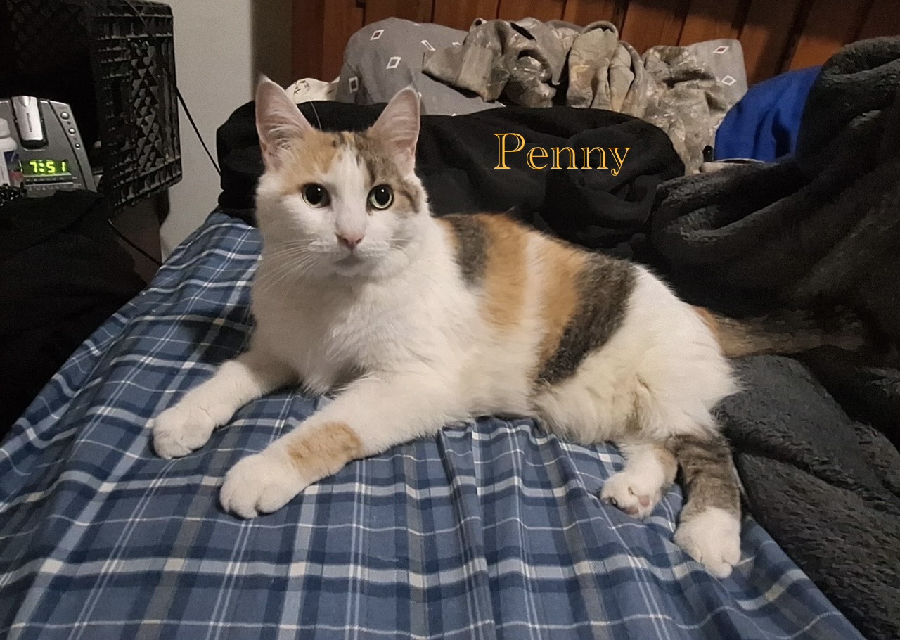 Penny
