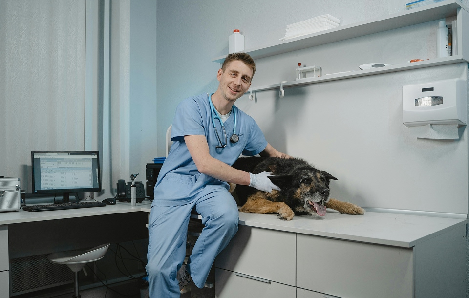 a veterinarian performing a checkup on a dog