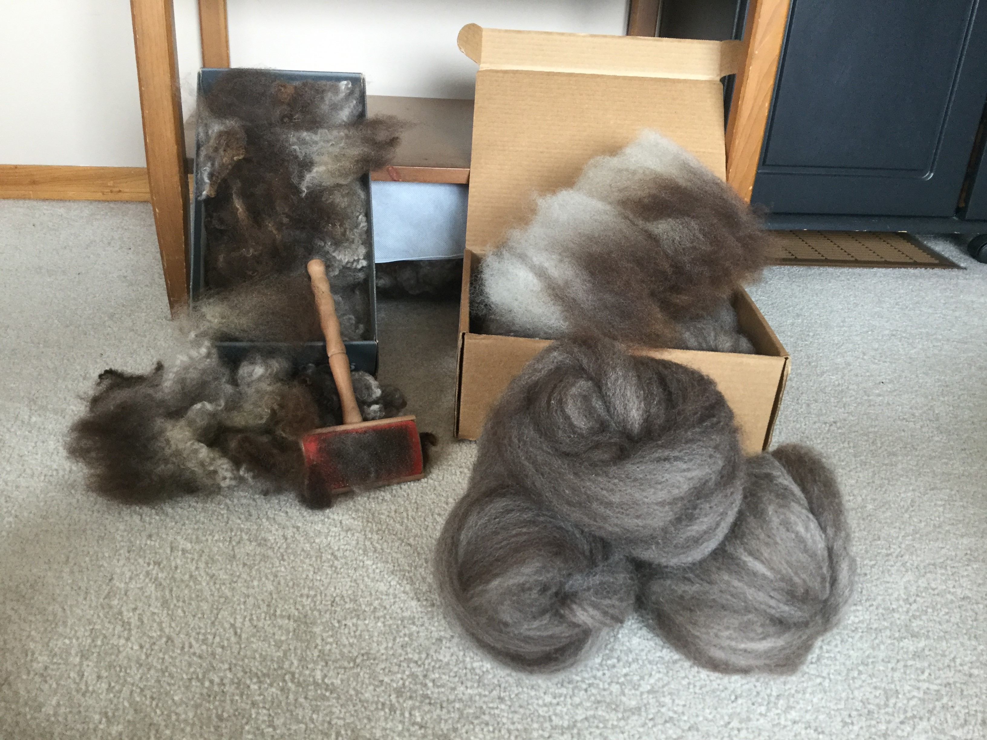 Grace - Romney X locks that are flicked, butt and tip then put through the drum carder tip end first.  The fibre is then dized off to produce a roving.  