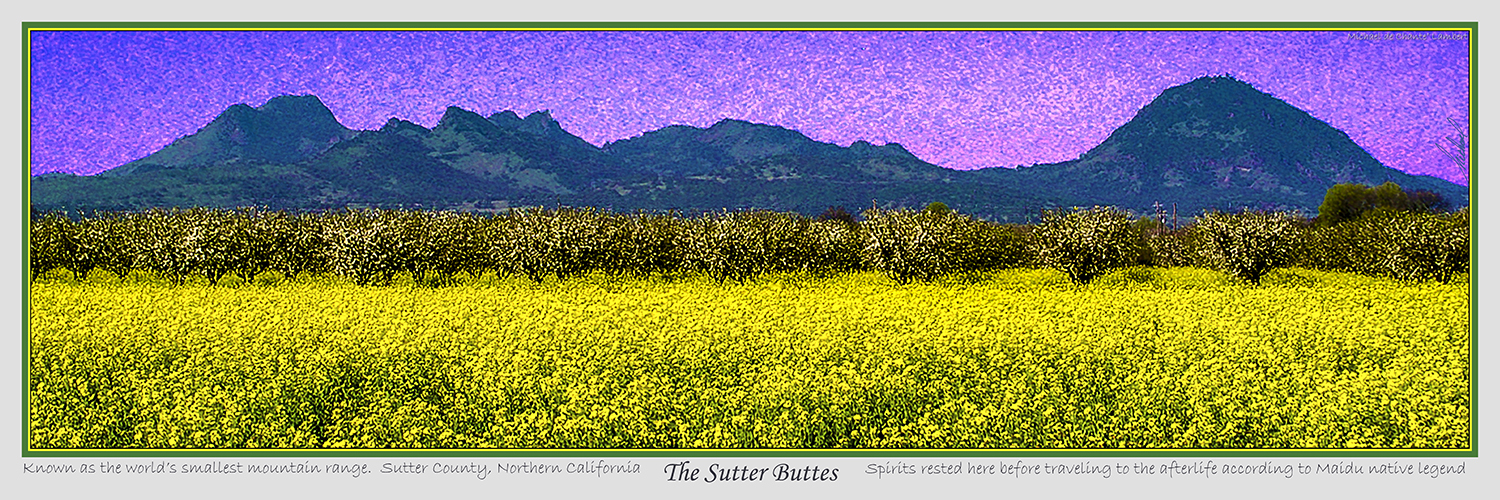 Landscape Photography (36x12) SF
Live Oak, California
<< The Sutter Buttes >>