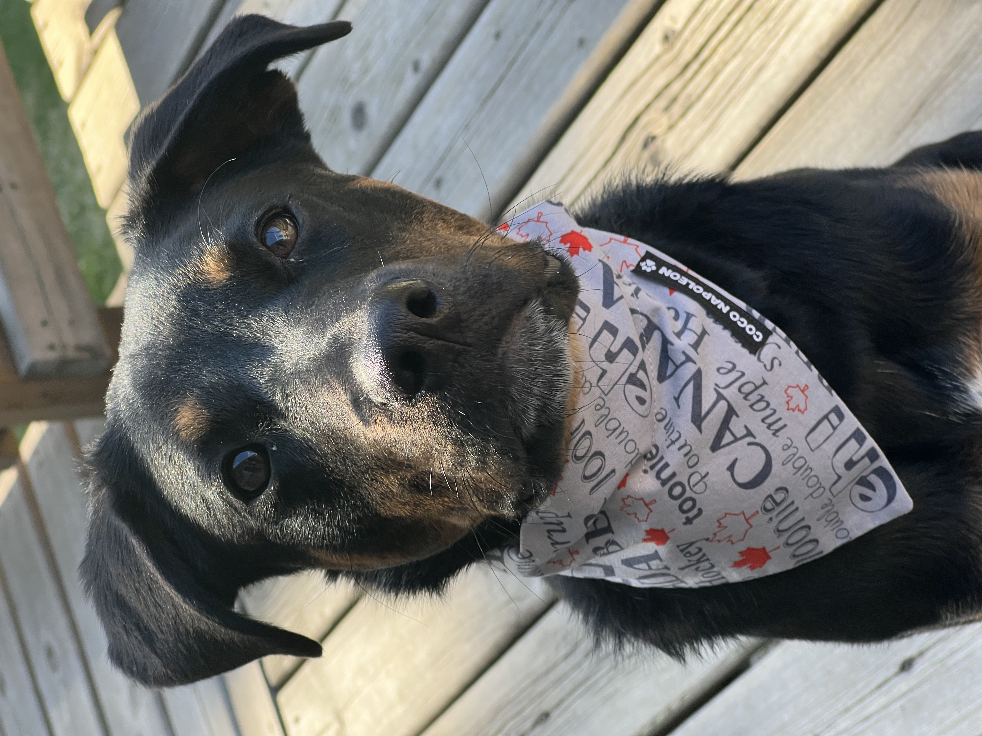 CANADA PROUD BANDANA