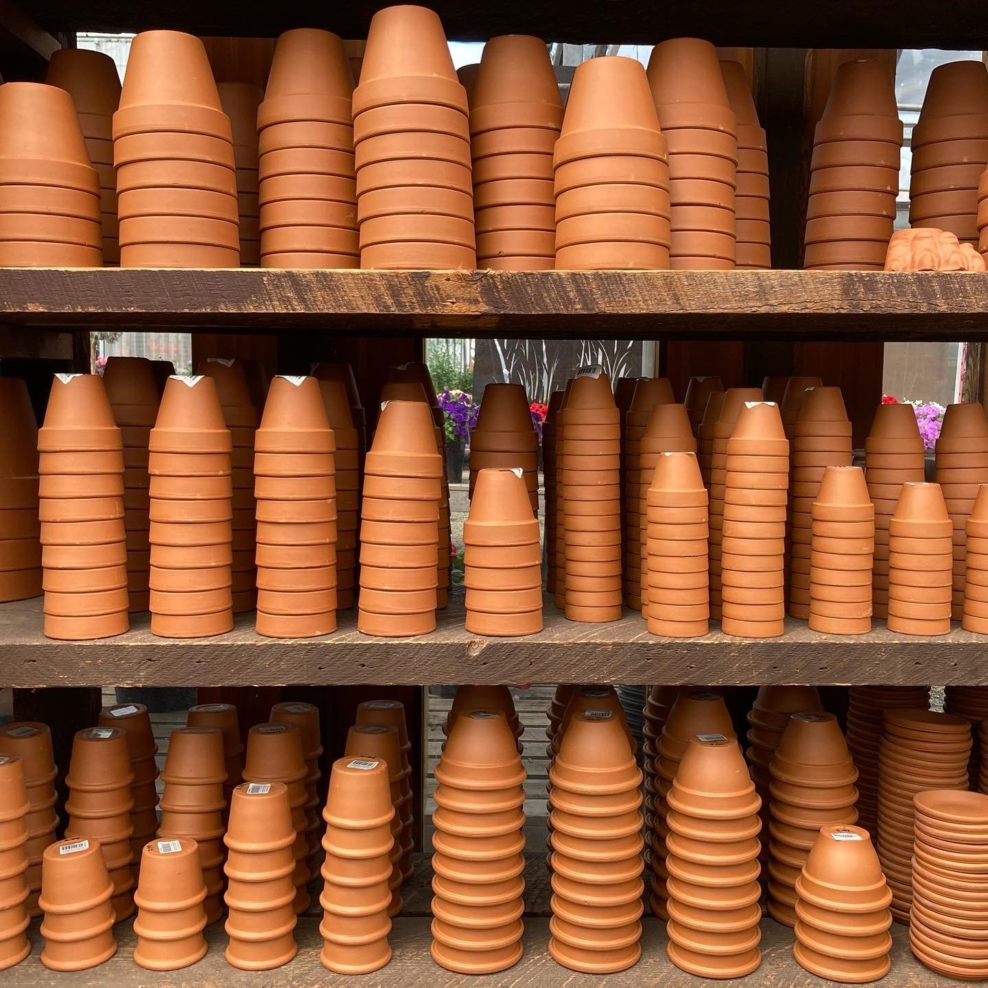 Large selection of terra cotta