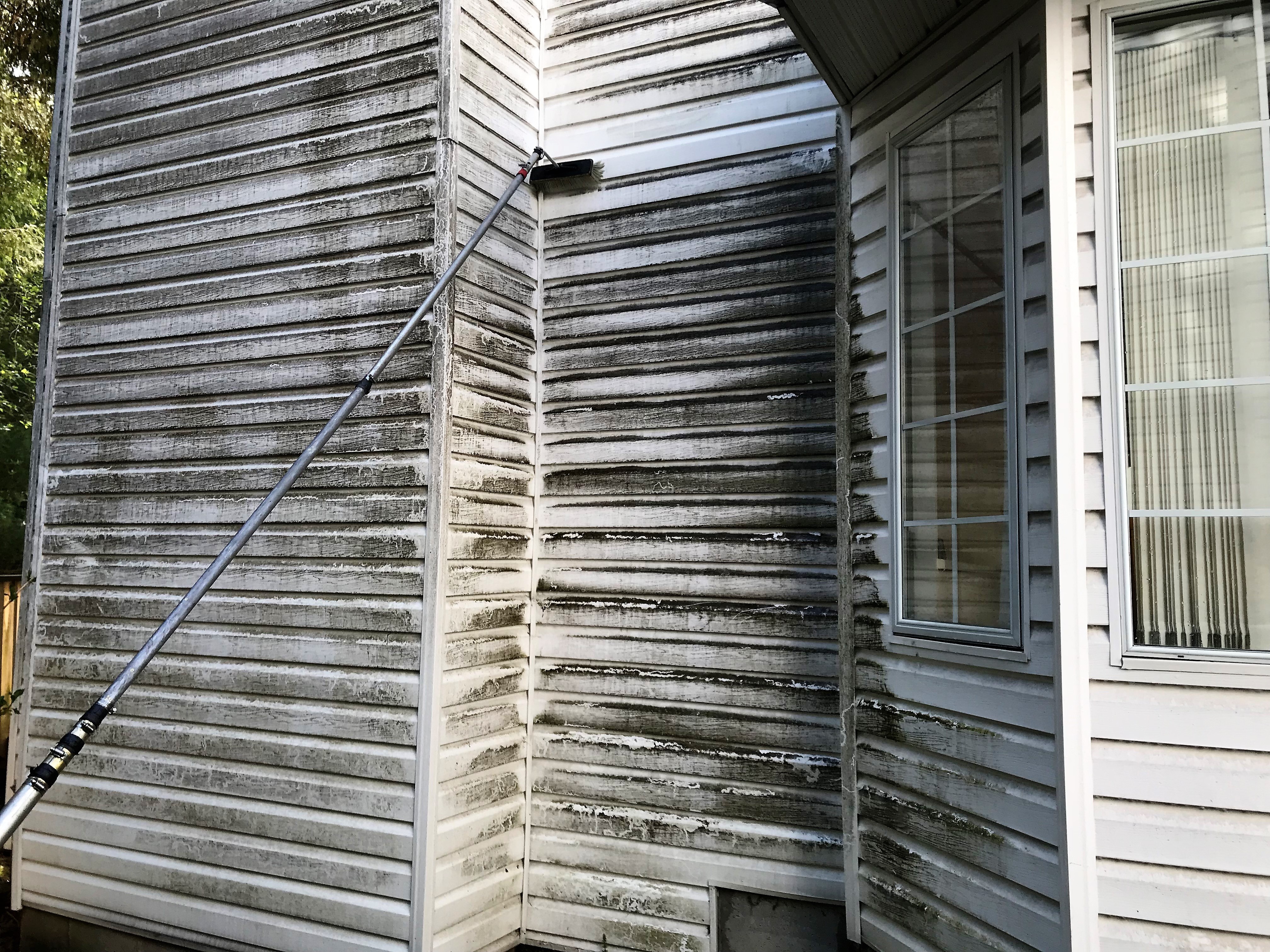 Over 10 years of dirt and mildew on vinyl siding.