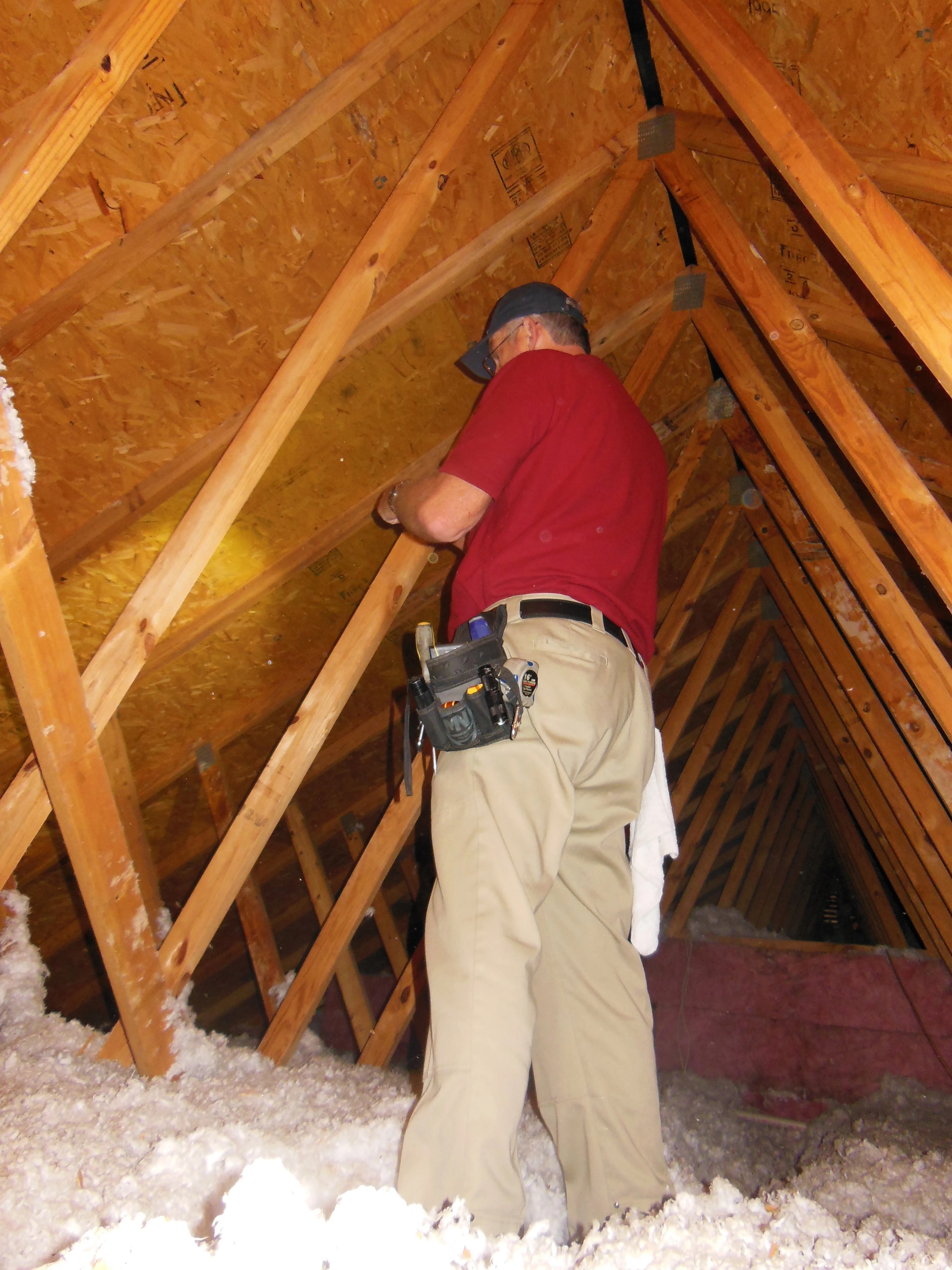 https://0901.nccdn.net/4_2/000/000/08a/dc7/attic-inspection--1-.jpeg