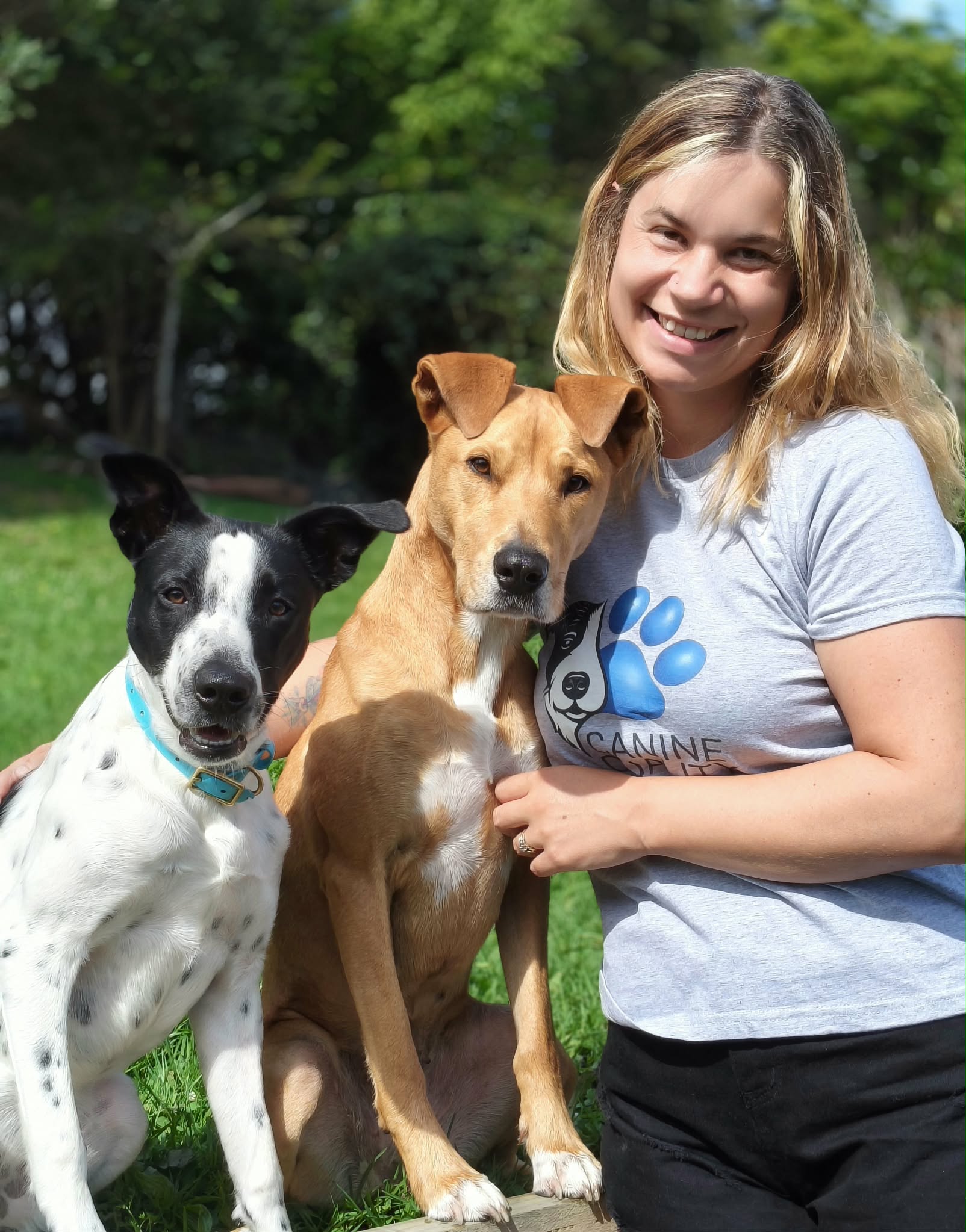 Adorable fluffy puppy lying on grass in a sunny park, looking curiously at the camera. Adorable fluffy puppy lying on grass in a sunny park, looking curiously at the camera.