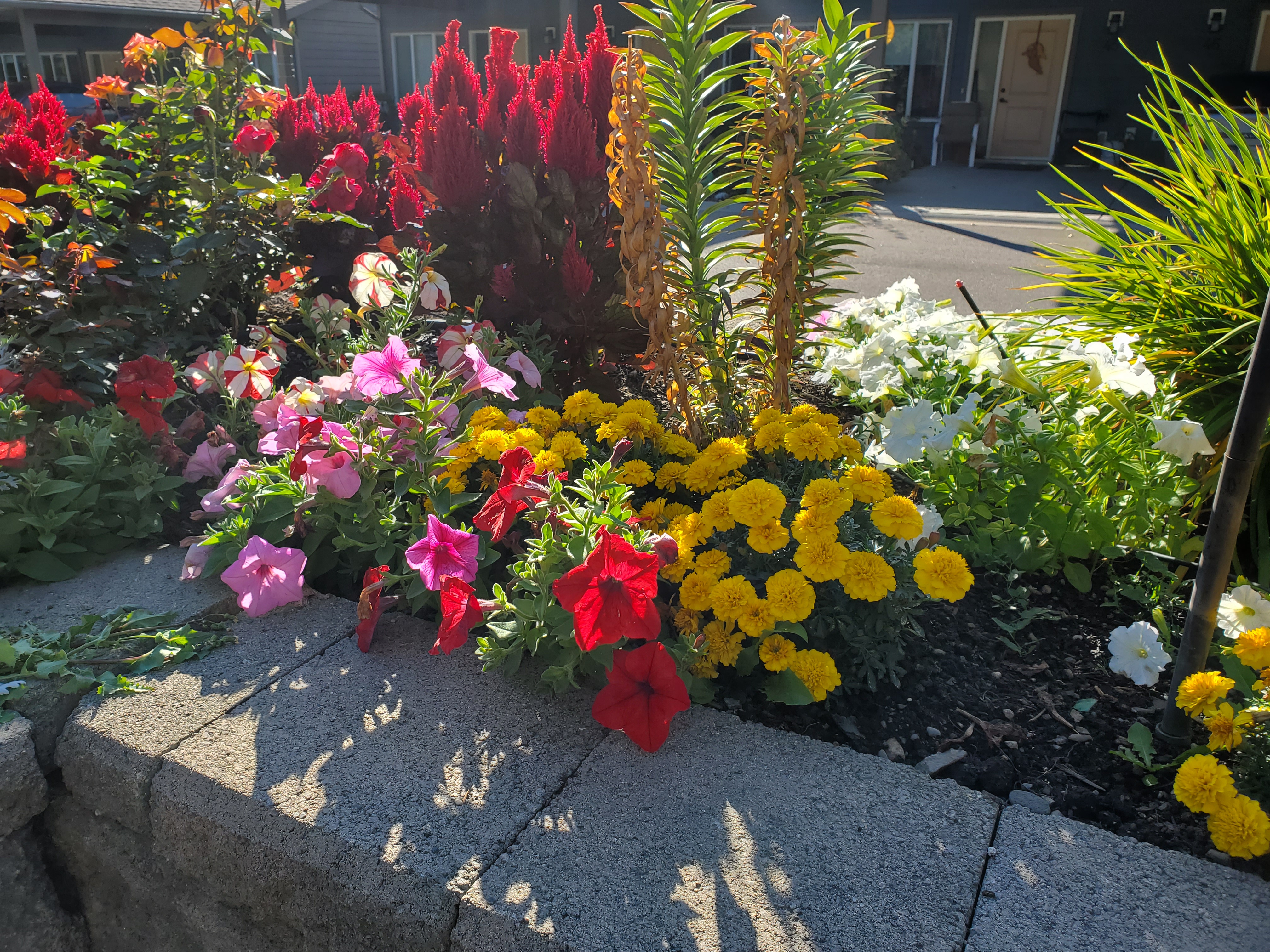 https://0901.nccdn.net/4_2/000/000/08b/069/four-square-garden.jpg