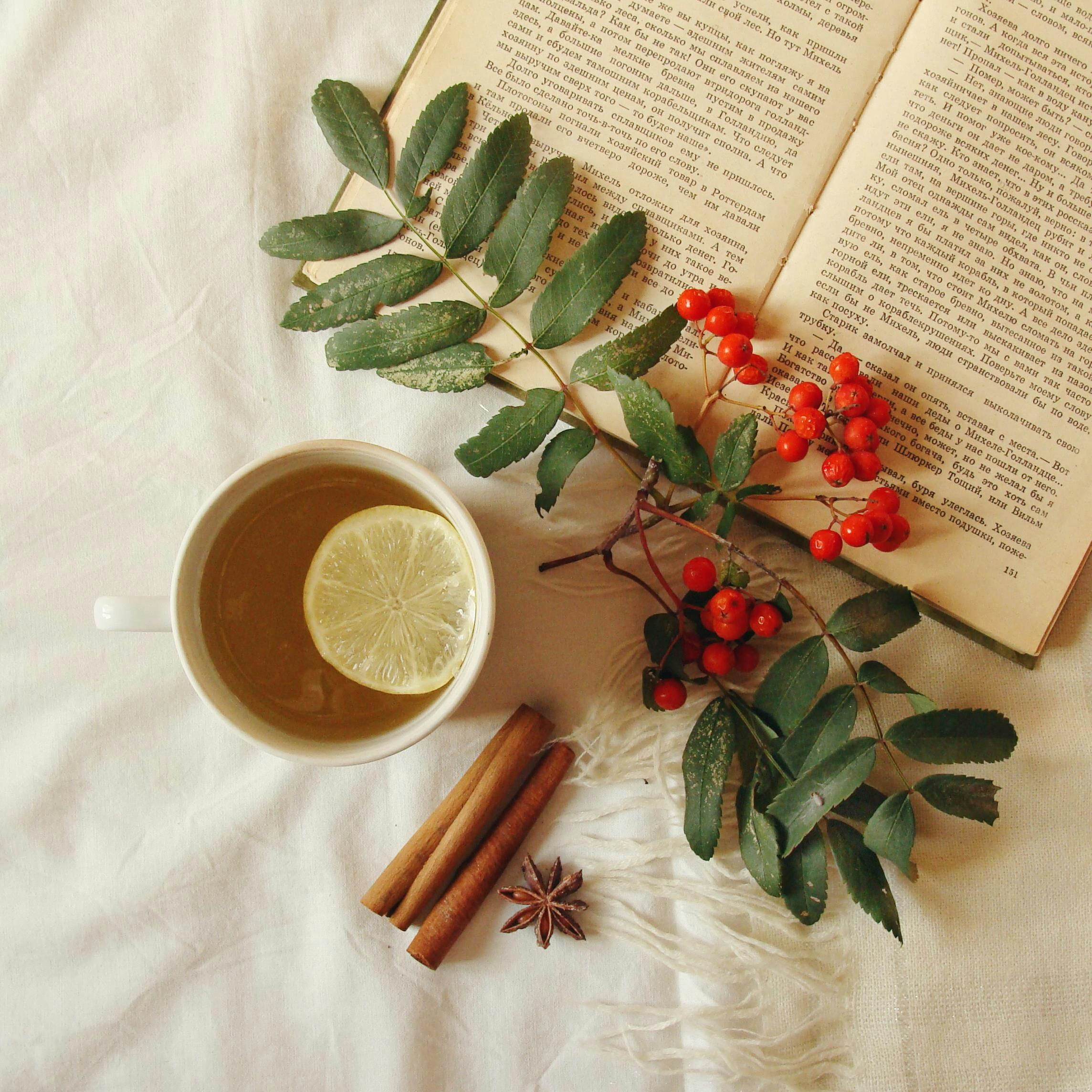 Cute tabby kitten sitting on the floor next to a stack of smooth stones.